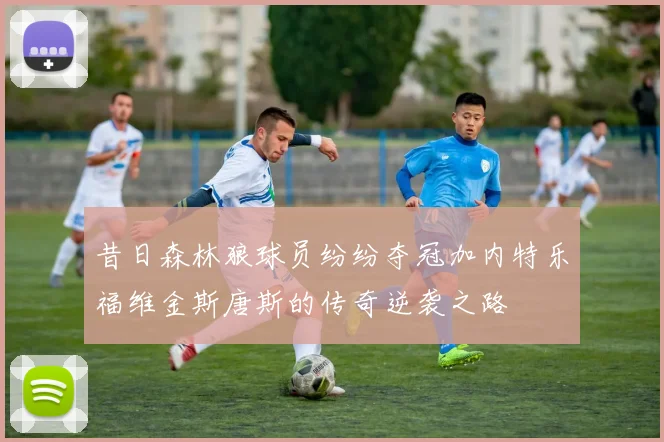 昔日森林狼球员纷纷夺冠加内特乐福维金斯唐斯的传奇逆袭之路