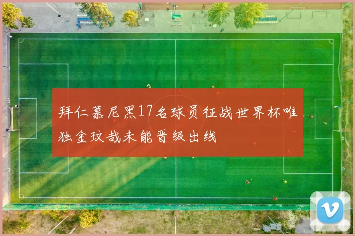 拜仁慕尼黑17名球员征战世界杯唯独金玟哉未能晋级出线