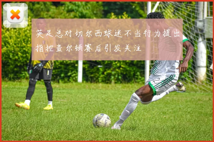 英足总对切尔西球迷不当行为提出指控查尔顿赛后引发关注