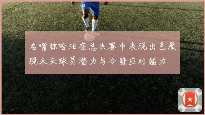 名嘴称哈珀在总决赛中表现出色展现未来球员潜力与冷静应对能力